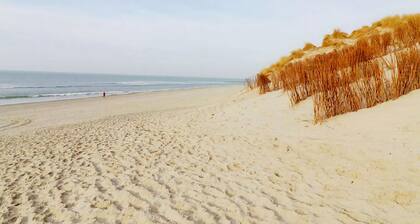 Restful Dune Chalet in Hollum Between Golf Course and Beach
