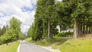 A rural road flanked by dense trees and a white building with a sloped roof. - Apartment in Mooswald in Carinthia With Pool (Fresach)
