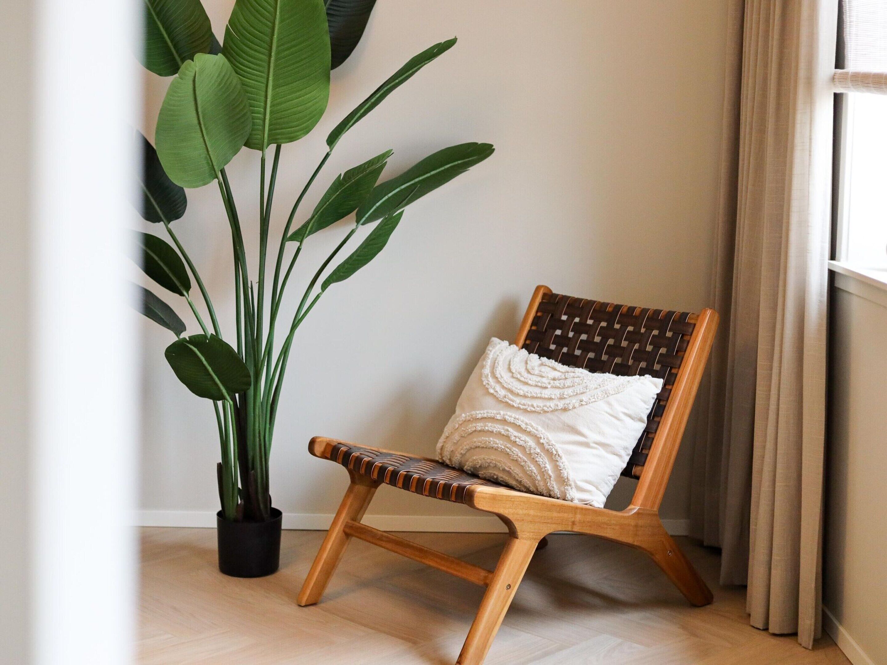 Una silla de madera con respaldo trenzado y un cojín blanco, ubicada junto a una planta grande en maceta con hojas verdes anchas.