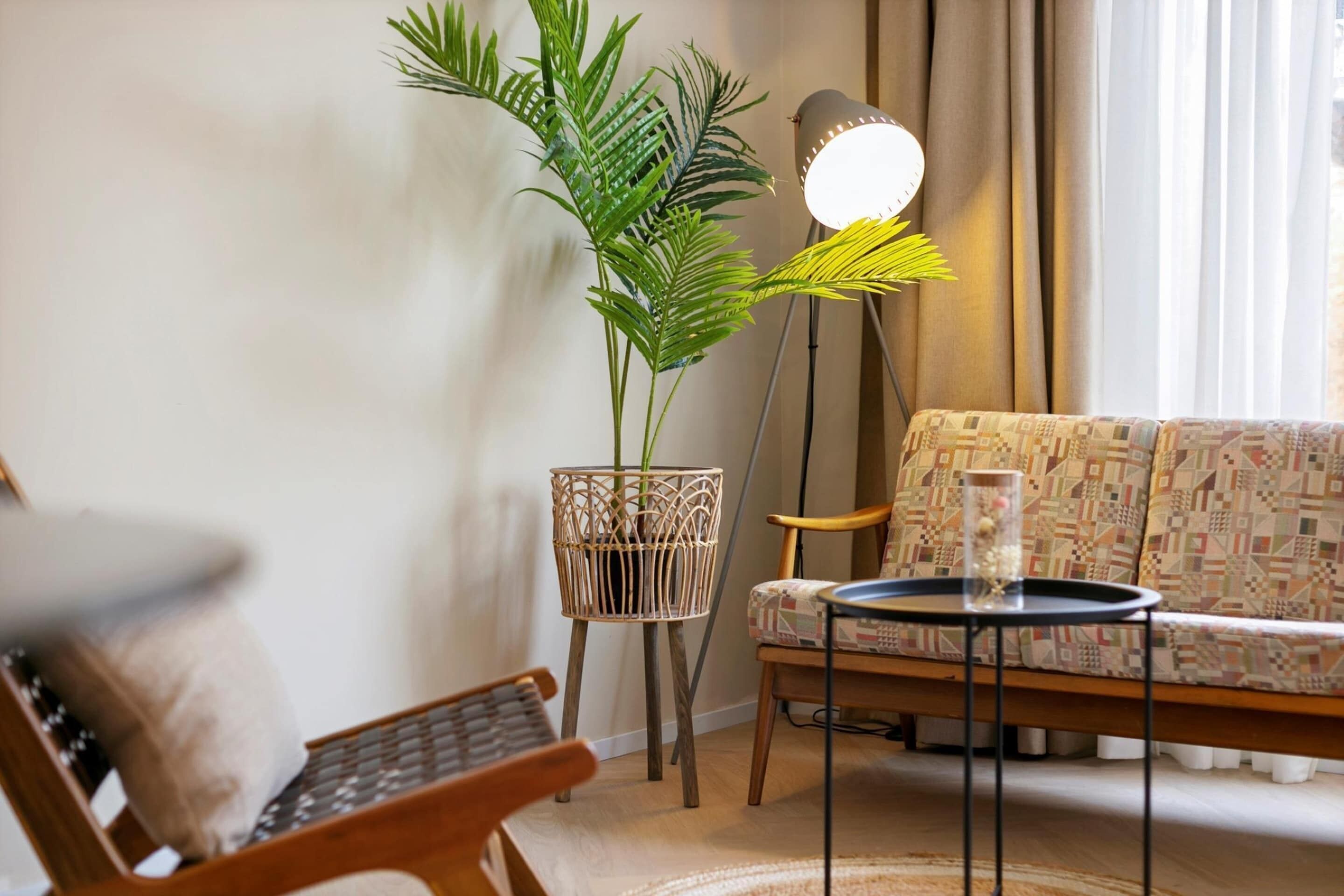 A living room with a patterned sofa, a wooden chair, a small table with a glass, a floor lamp, and a potted plant.