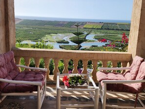 家庭双人房 | 露台