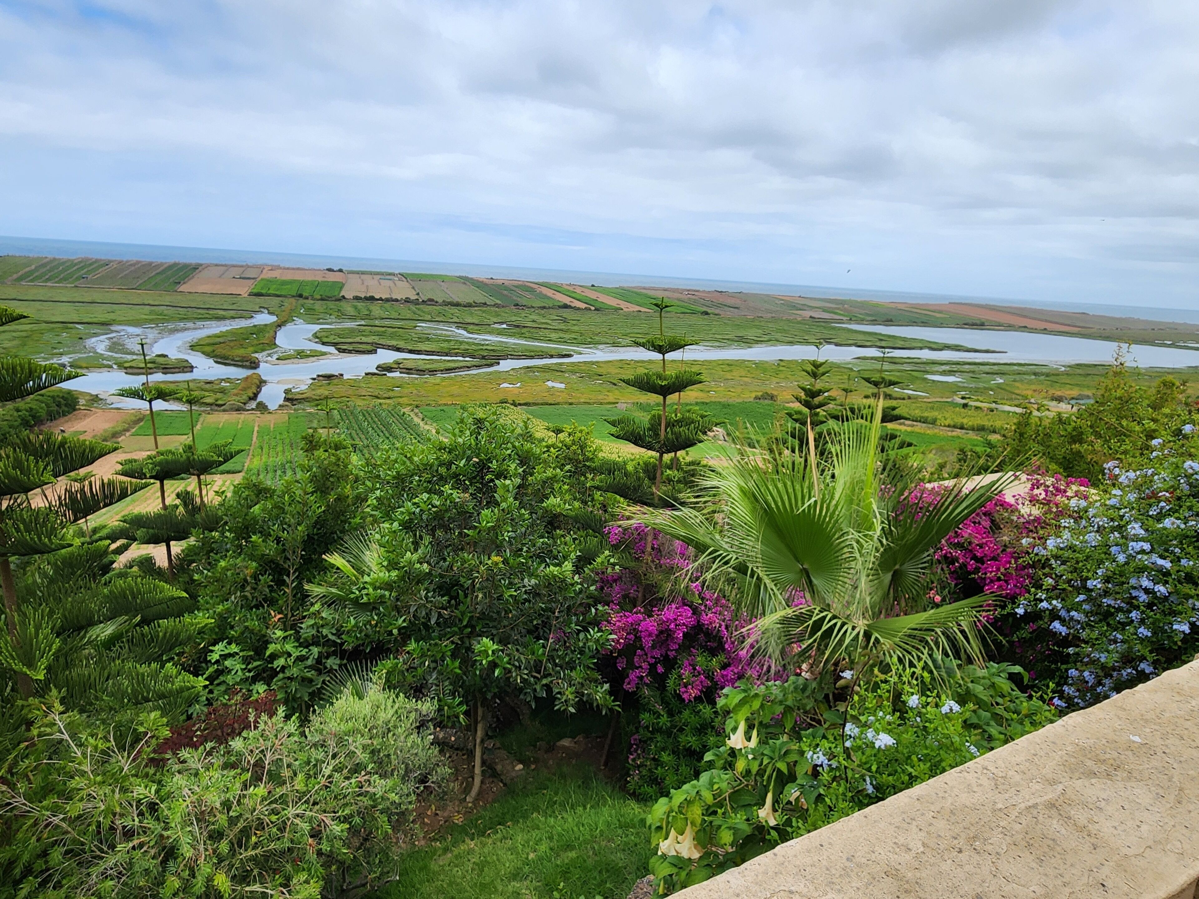 A lush landscape with a river, green fields, and a variety of plants and flowers.