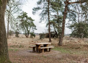 View from property - Country House in Leende Near Leenderbos Forest (Leende)