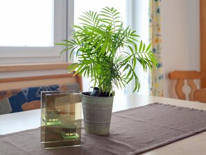 Apartment | Dining - Large Apartment With a Large Balcony in Kappl (Kappl)