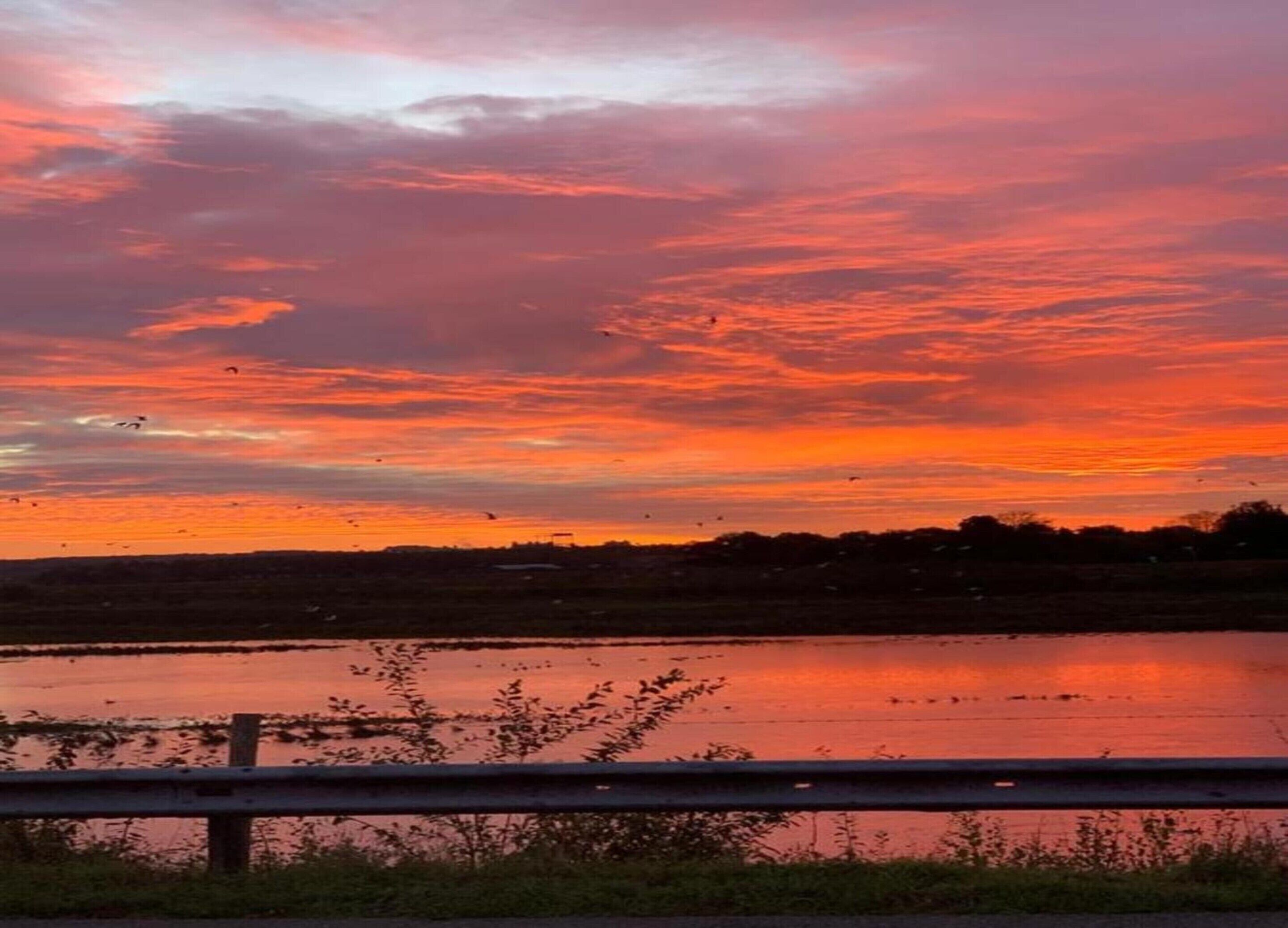 Ein Sonnenuntergang über einem Gewässer mit einer entfernten Küstenlinie und einem Metallgeländer im Vordergrund.