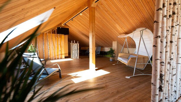 A spacious room with a sloped wooden ceiling, a hanging swing chair, and a seating area with a table and chairs. - Modern Apartment in Mettlach With Infrared Sauna (Mettlach)