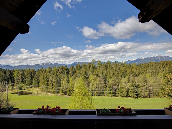 Apartment | View from property - Apartment in Mooswald in Carinthia With Pool (Fresach)