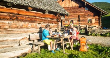 Farm Apartment in Radstadt Near Therme