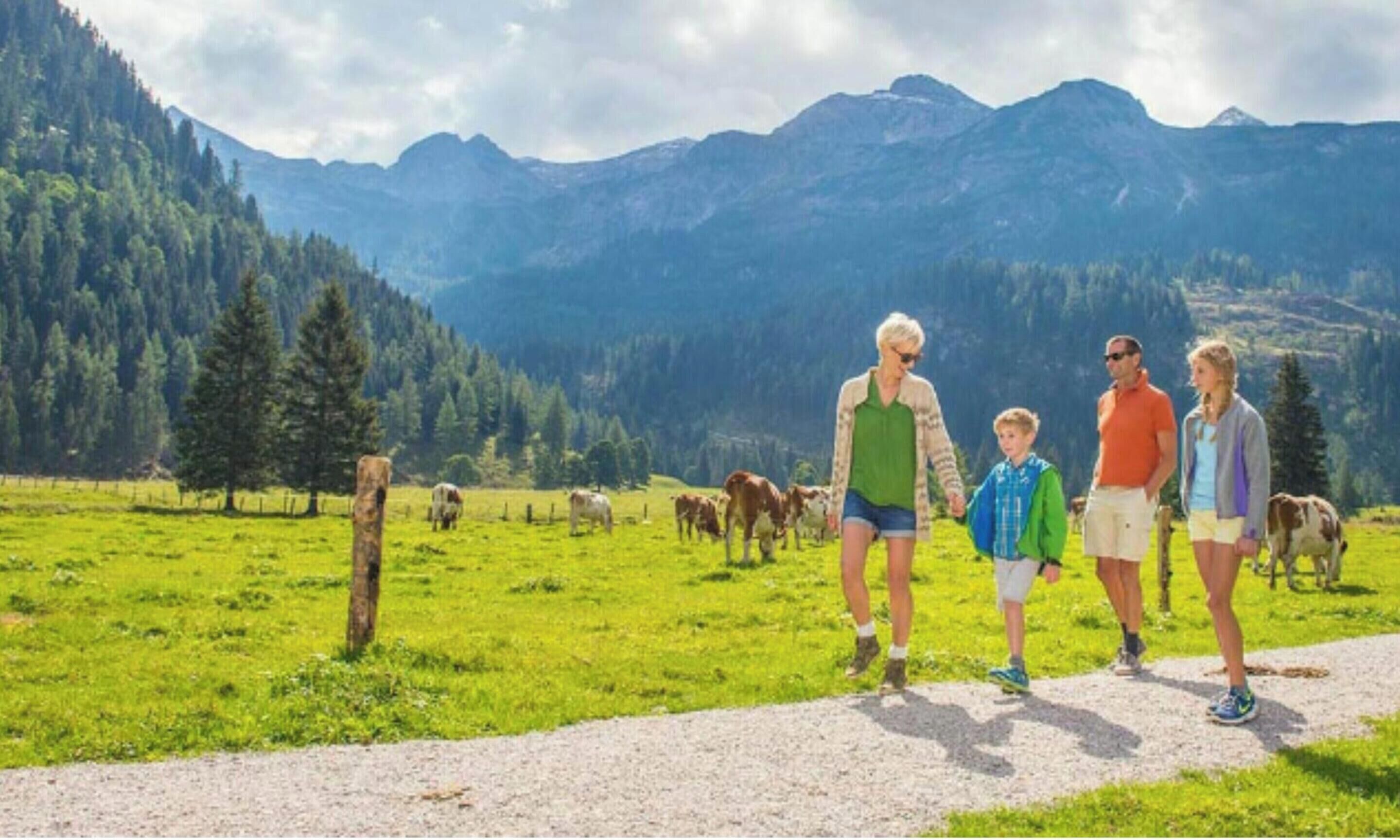 A group of people walking on a gravel path in a grassy field with mountains in the background.