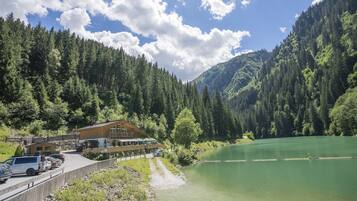 Vista desde la propiedad