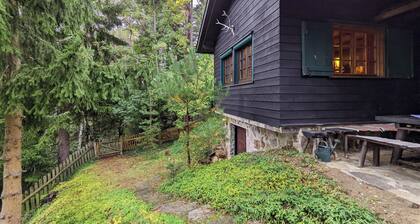 Holiday Home in Edlitz Near Ski Slopes