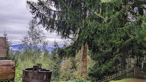 A rustic outdoor setting with a wooden barrel, dense greenery, and a wooden fence. - Holiday Home in Edlitz Near Ski Slopes (Edlitz)
