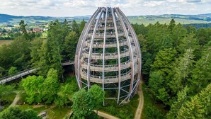 A multi-level observation tower with a spiral staircase, surrounded by dense forest and a view of distant hills. - Appartement Martin mit Wellnessbereich (Freyung)
