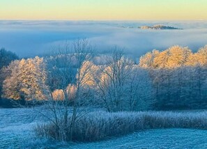 Apartment | Blick von der Unterkunft