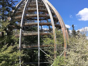 Apartment | Blick von der Unterkunft