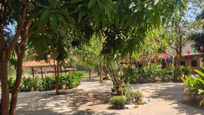 A courtyard with trees, potted plants, and a pathway. - erawan guesthouse (Pakse)