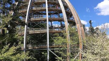 Vista desde la propiedad