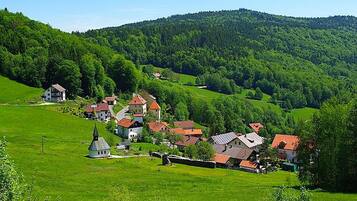 Vista desde la propiedad