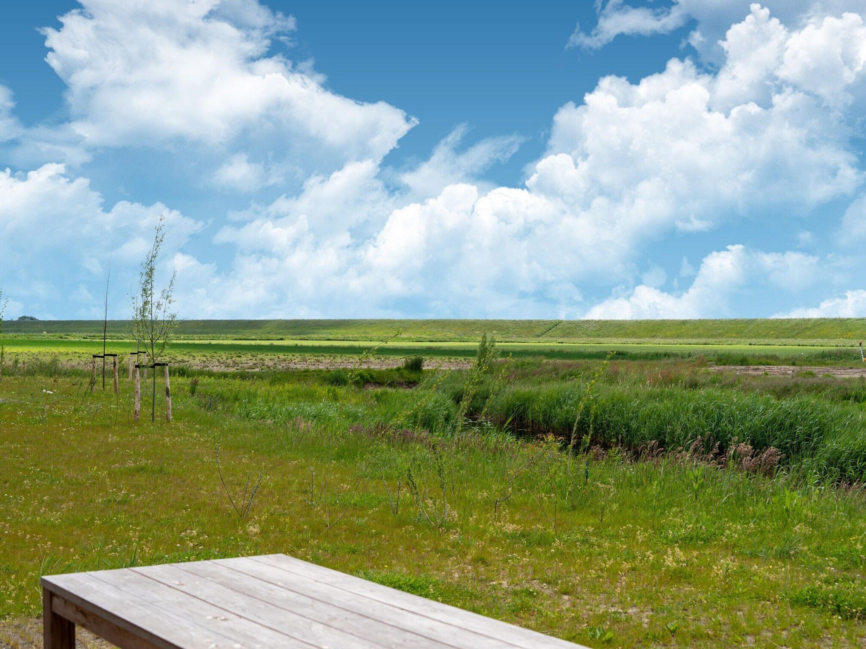 Ferienhaus | Blick von der Unterkunft