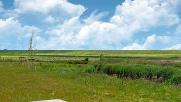 Ferienhaus | Blick von der Unterkunft