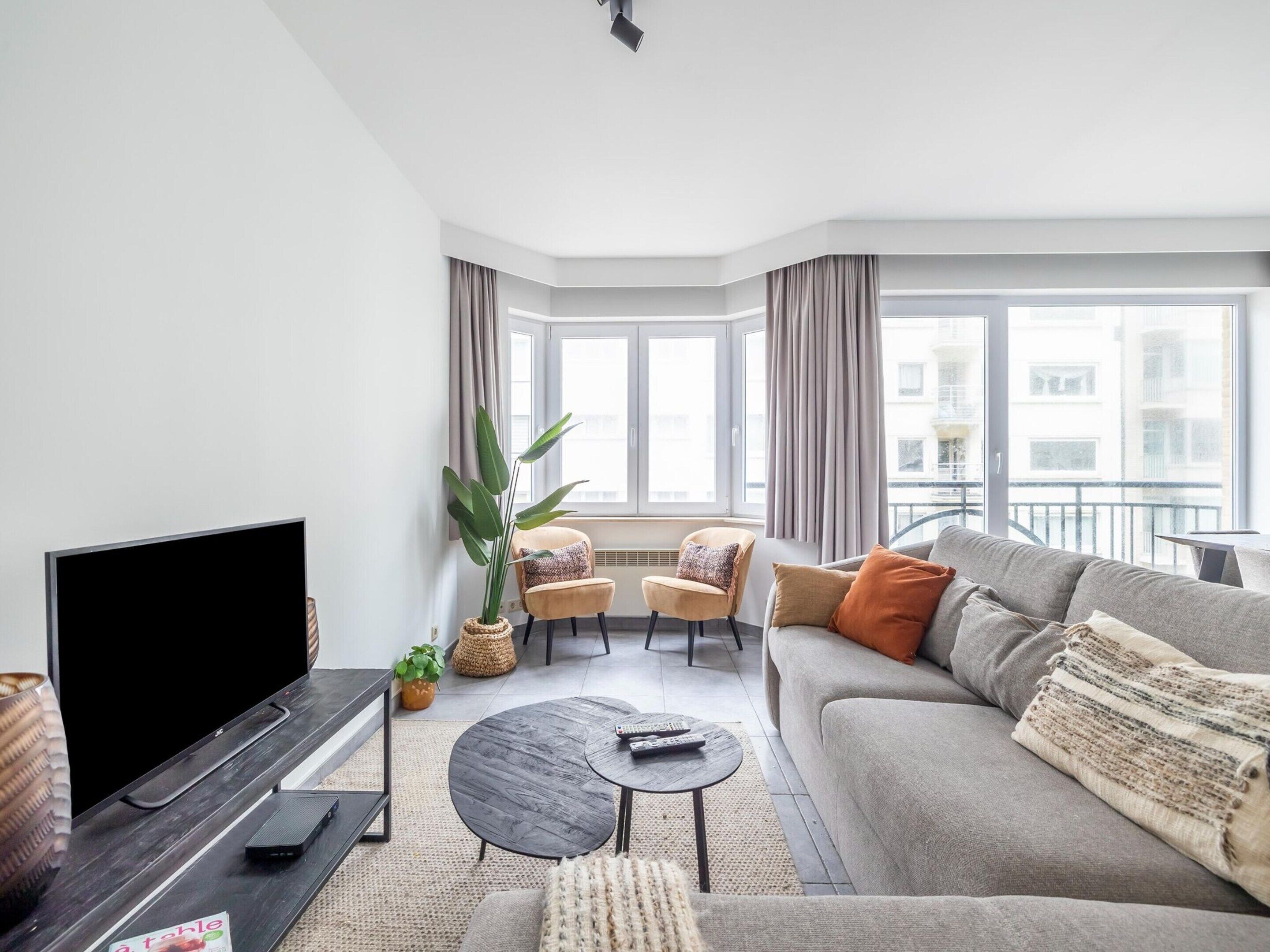 A modern living room with a flat-screen TV, a sofa, a coffee table, and a potted plant.