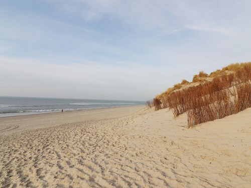 Safari Tent in Netherlands Near Dunes & Sea