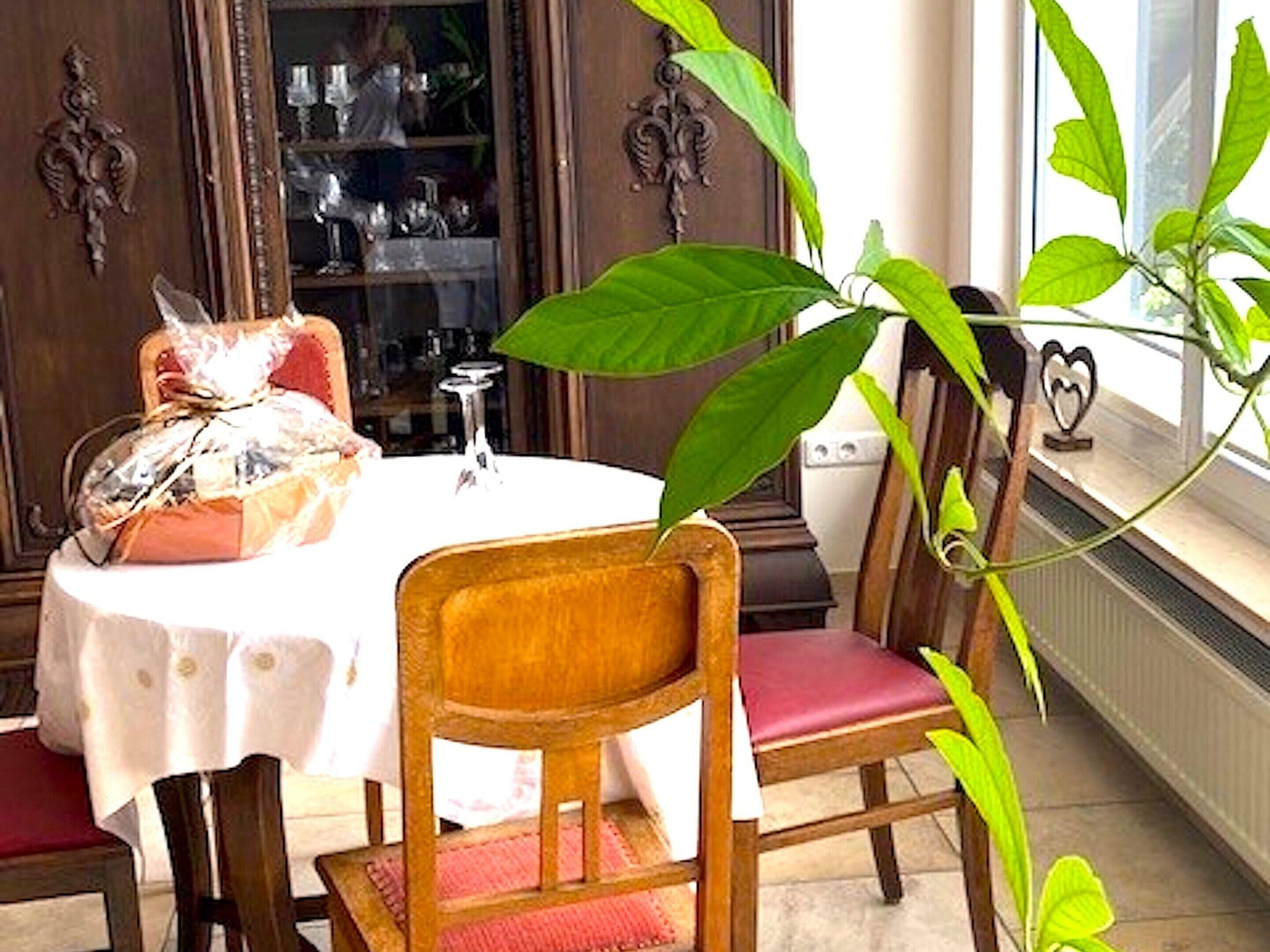 Apartment | Tempat makan