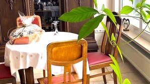 A dining area with a round table, chairs, a glass cabinet with items, and a large plant. - Junkerath Romantic Garden Stay (Juenkerath)