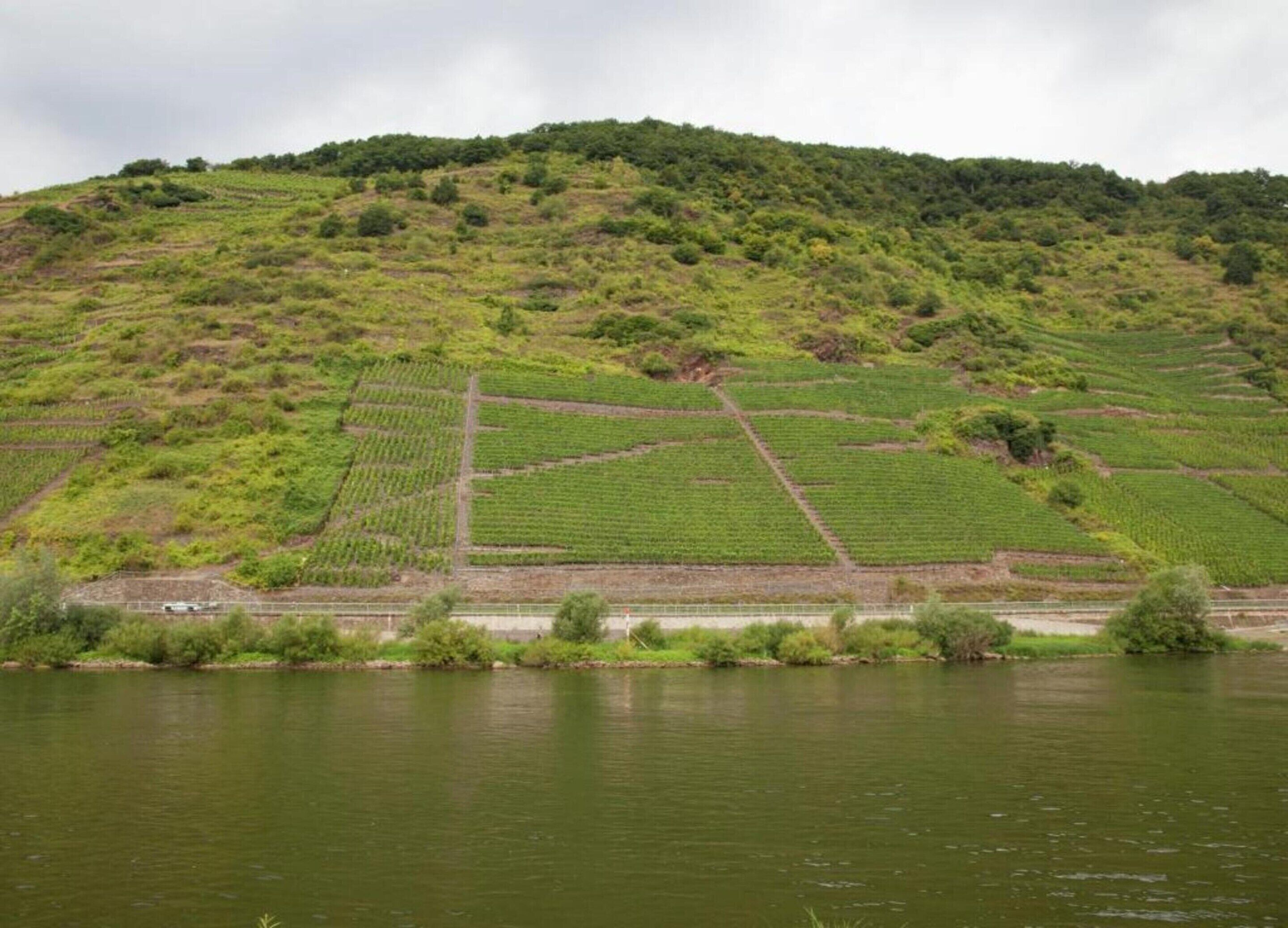 Eine hügelige Landschaft mit terrassierten Feldern und einem Gewässer im Vordergrund.