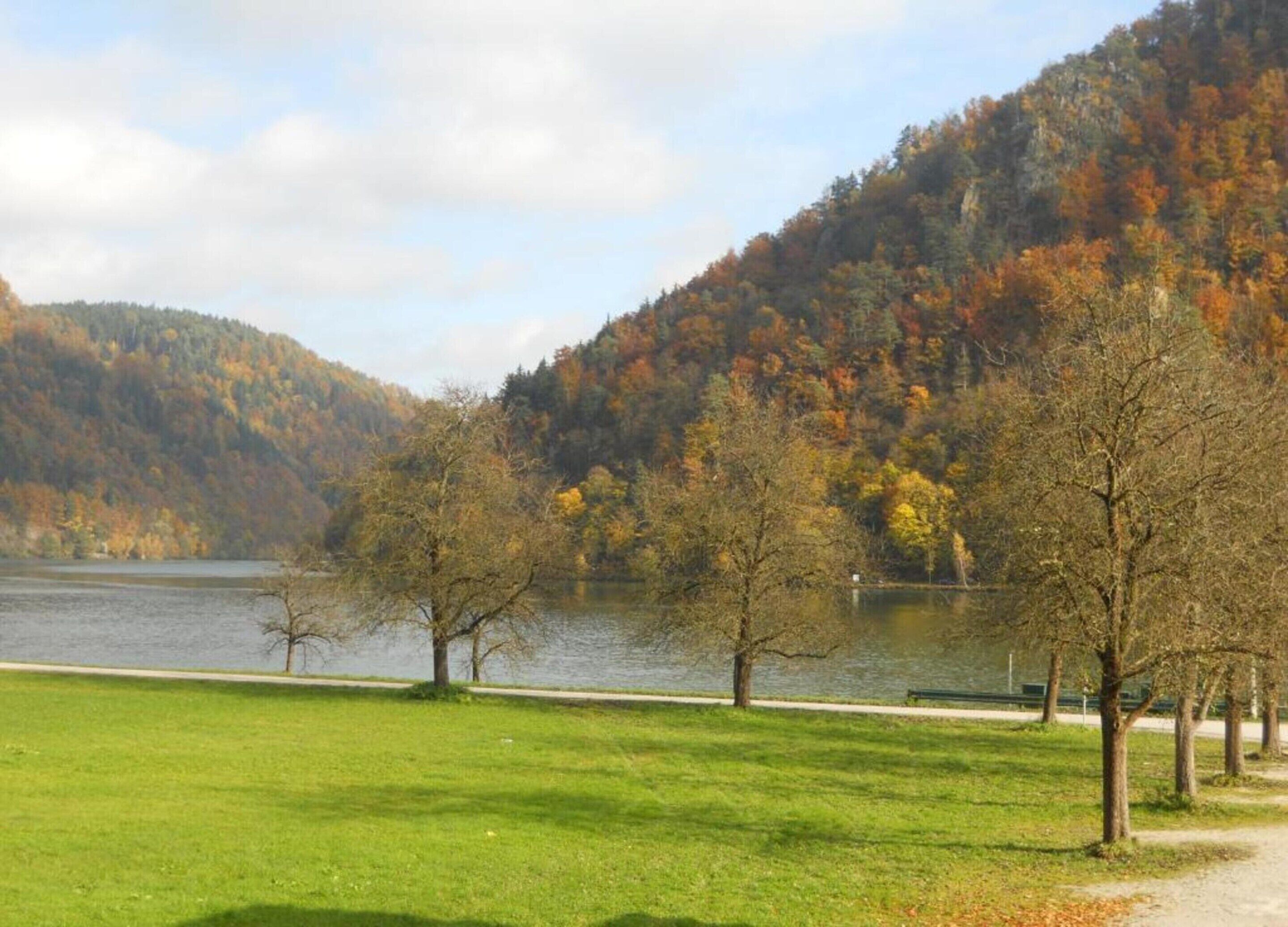 Un parque con un lago, árboles y una zona arbolada.
