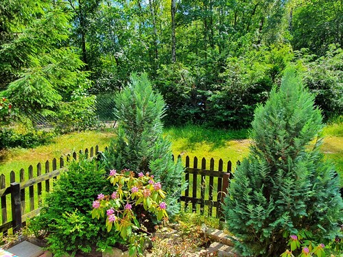 Delightful Apartment in Goslar With Garden and Terrace