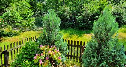 Delightful Apartment in Goslar With Garden and Terrace