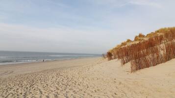 House | View from property