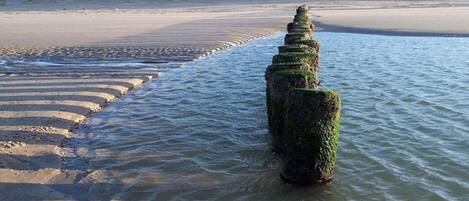 House | View from property