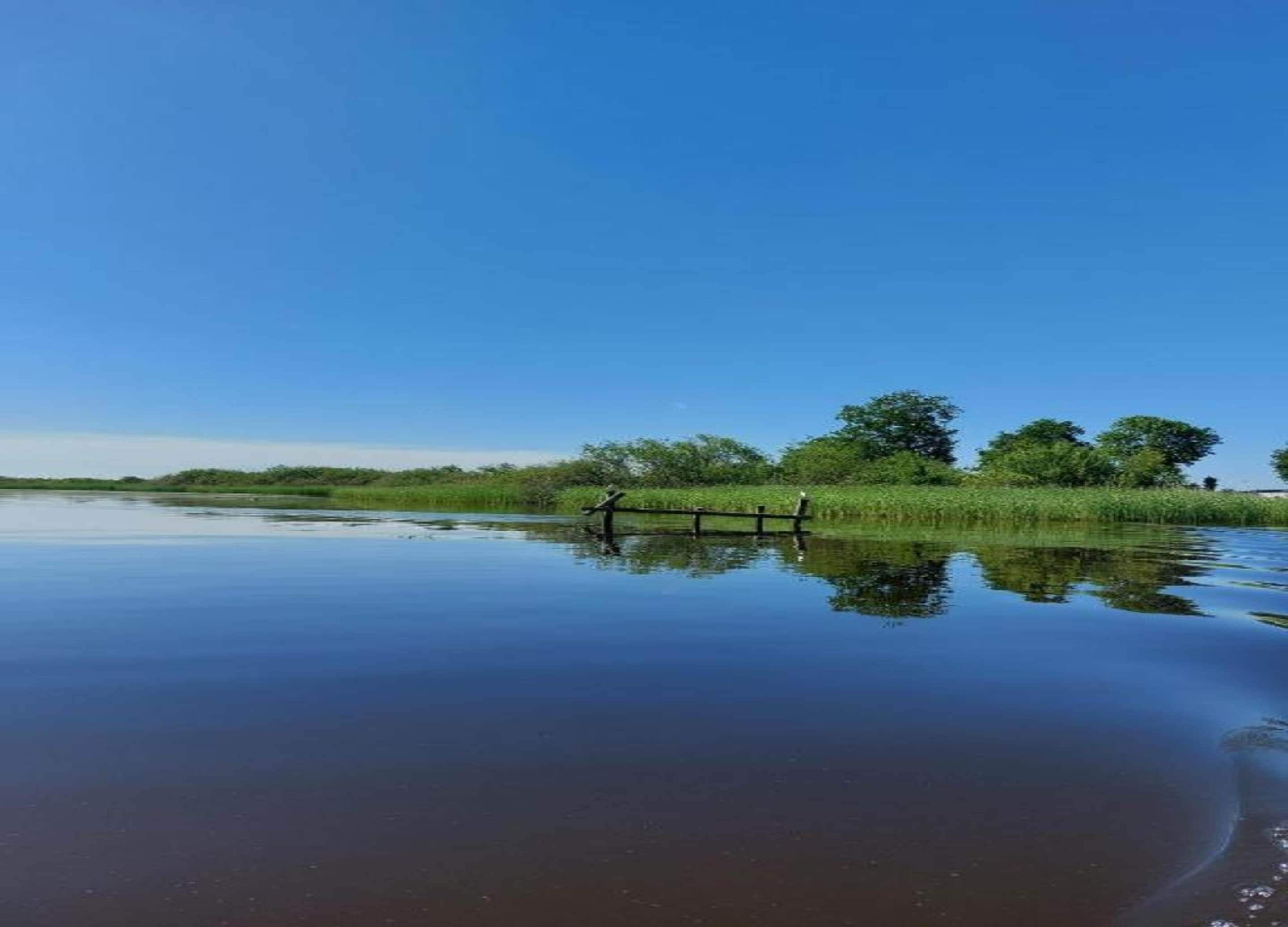 A calm body of water reflecting trees and a clear sky.