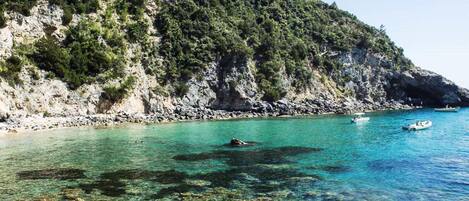 Ferienhaus | Blick von der Unterkunft