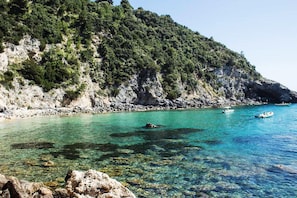 Escena costera con agua turquesa cristalina, costa rocosa y un promontorio arbolado.
