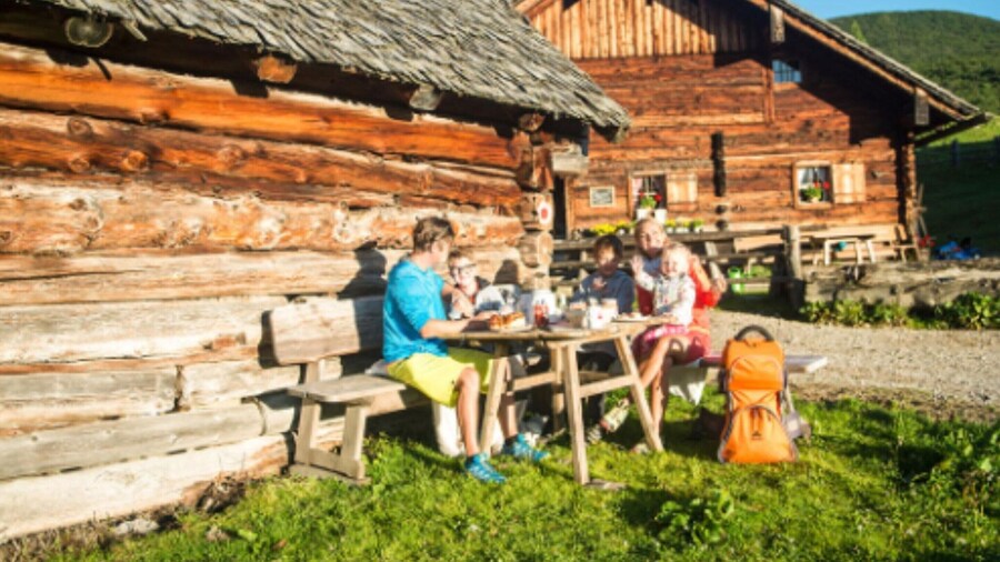 Ground Floor Apartment in Radstadt With Terrace