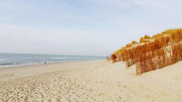 Chalet | Uitzicht vanuit accommodatie