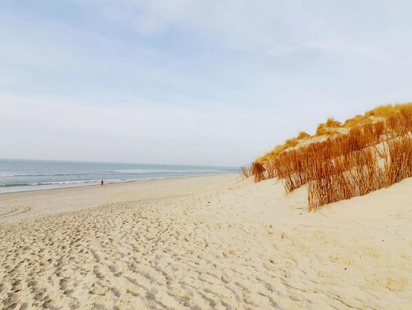 Chalet | View from property - Chalet in Hollum Near Golf Course and Beach (Hollum)