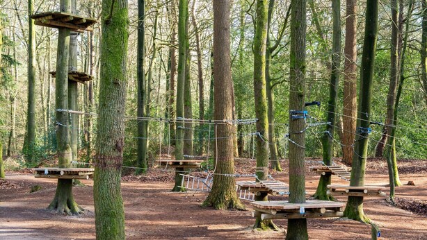 A forested area with wooden platforms and rope bridges. - Nice Holiday Home in Appelscha With Garden (Appelscha)