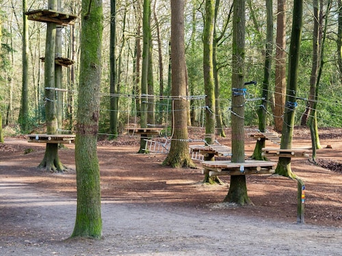 Nice Holiday Home in Appelscha With Garden