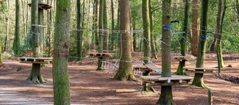 Nice Holiday Home in Appelscha With Garden