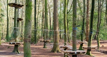 Nice Holiday Home in Appelscha With Garden