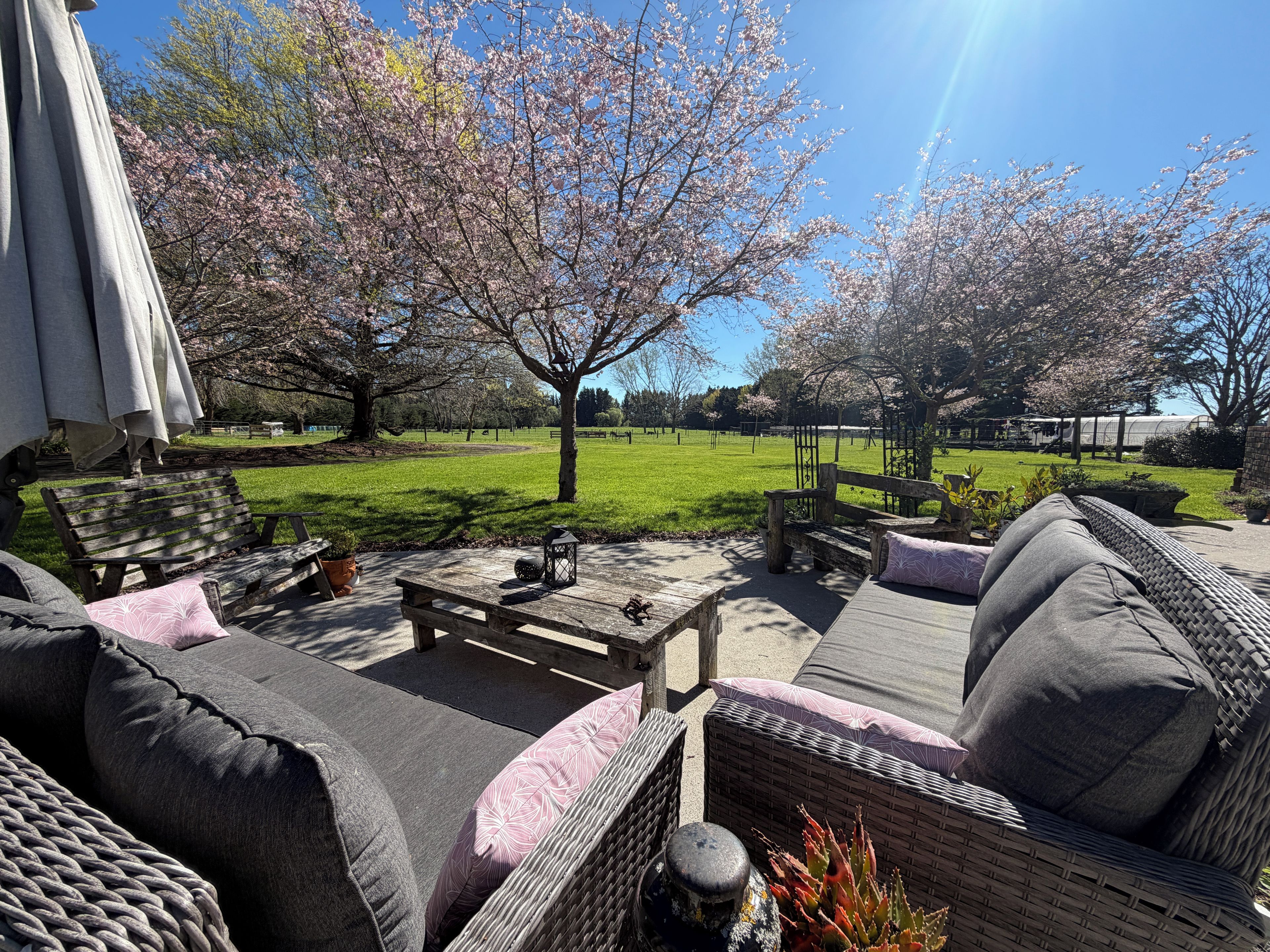 An outdoor patio area with a seating arrangement, a table, and a view of a park with cherry blossom trees.