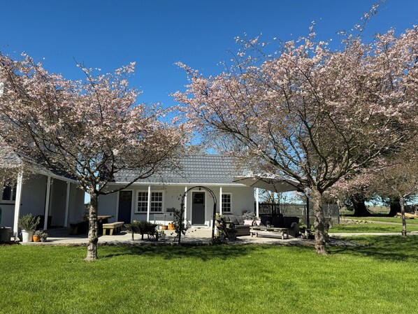 A house with a covered porch, a lawn, and cherry blossom trees.