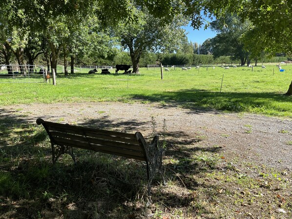 A park with a wooden bench, a fenced area with grazing animals, and trees providing shade.