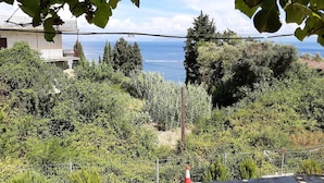A view of a coastal area with dense greenery, a stone wall, and a metal fence. - Apartment in Mpenitses With Sea Views (Corfu)