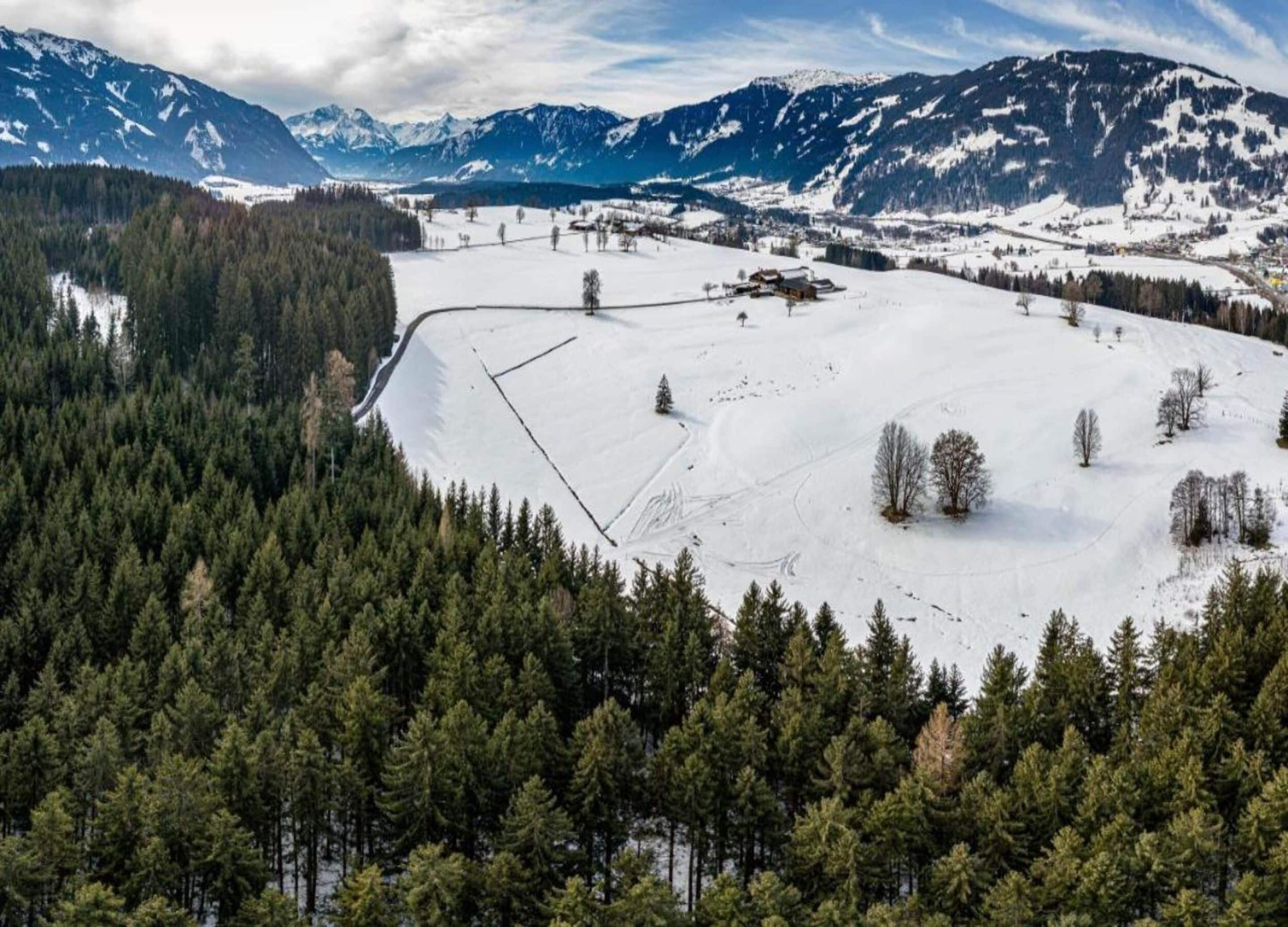 A snow-covered landscape with a forested area and a building in the distance.