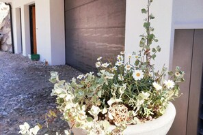 Apartment | Rezeption